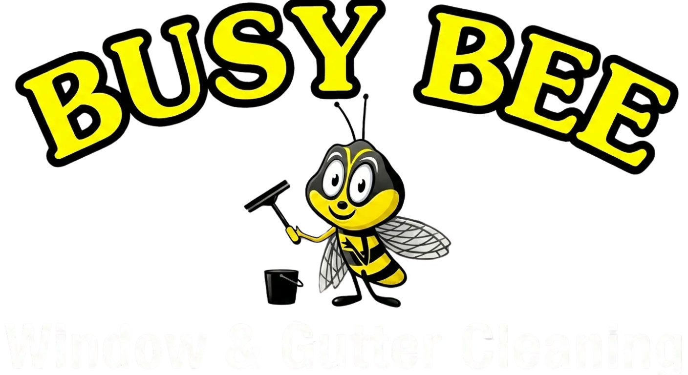 Busy Bee Window & Gutter Cleaning